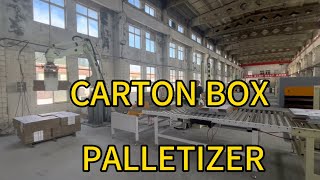 Palletizer  Inline packed carton box mechanical arm stacker crane manipulator [upl. by Rosalyn781]