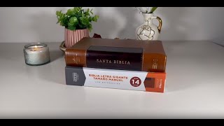 Biblia LETRA GRANDE 14 punto perfecta para el estudio [upl. by Sabra]