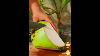 Amazing fresh Coconuts Cuttingshortsfeed [upl. by Tierell]