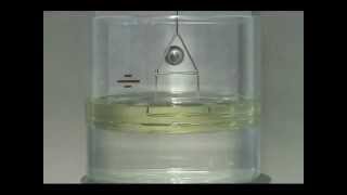 Interfacial Tension Test using a Du Nouy Ring [upl. by Finbar]