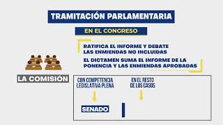 El procedimiento parlamentario de aprobación de las leyes [upl. by Lletnwahs89]