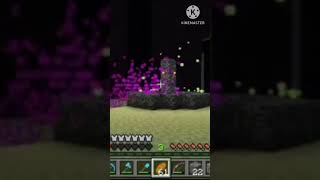 The ender dragon  MRXYZ2620 [upl. by Genesia]