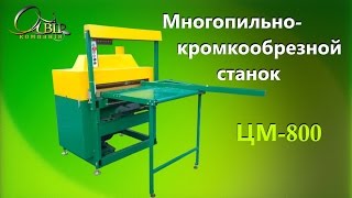 Многопильнокромкообрезной станок ЦМ800 Многопил  Multiple saw CM800 [upl. by Elehcir]