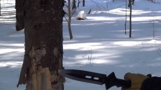 United Cutlery M48 Spear Test another MUST WATCH [upl. by Limber]