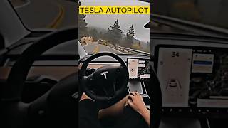 TESLA VS XUV 700 AUTOPILOT MODE COMPARISON status youtube ytshorts [upl. by Annawik]