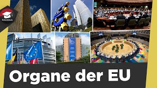 Organe der EU  Europäische Institutionen  Aufgaben Merkmale Sitz  Organe der EU erklärt [upl. by Lahsram204]