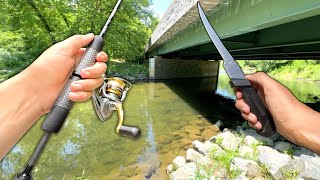 Fishing the CREEK Eating Whatever I Catch Catch and Cook [upl. by Diarmid]