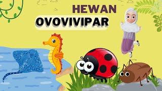 HEWAN OVOVIVIPAR  Contoh Hewan Ovovivipar di Sekitar Kita ❗️💫 [upl. by Remas]