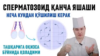 ЭРКАК УРУҒИ ЯШОВЧАНЛИГИ БОЛА ҚИЛИШГА НЕЧА КУНДАН АЛОҚА ҚИЛИШИ КЕРАК ТАШҚАРИГА ОҚИЗСА БОЛА БЎЛАЛИМИ [upl. by Appleton]