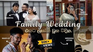 Pasquel Family wedding  ලංකාවේ saree shopping  සිංහල vlog 💅💁‍♀🛍️ [upl. by Noland]