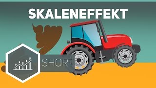 Skaleneffekt – Grundbegriffe der Wirtschaft [upl. by Alegnaed258]