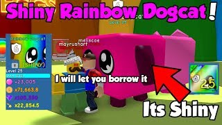 He Traded Me Shiny Rainbow Dogcat OP STATS Best Shiny Rainbow Pet  Bubble Gum Simulator [upl. by Woo]