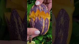 Fruit cutting fruit naturallifeb satisfying naturalclips fruitcutting naturelife food nature [upl. by Yenatirb]