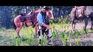 Red Dead Redemption 2 William Shows Arthur How To Craft The Special Horse Stimulant [upl. by Sianna]