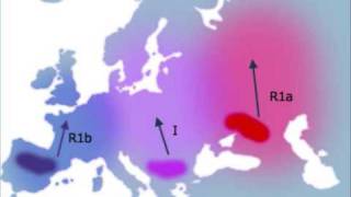 The Truth About British DNA Ancestry [upl. by Eiznik261]