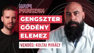 napiPartizán 9  Gengszter Gődény elemez [upl. by Yeroc]