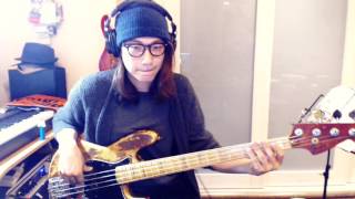 Red Hot Chili Peppers  Aeroplane Bass Cover by FunQ [upl. by Nosna]