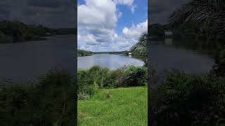 Essequibo River in Guyana [upl. by Aligna]