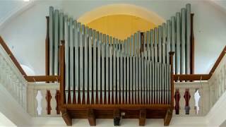 Musik in der Kapelle  Genya Kai spielt JS Bach quotAllein Gott in der Höh sei Ehrquot BWV 662 [upl. by Tiram795]