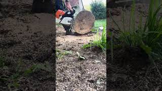 Stihl MS461 vs MS500i chainsaw kettensäge stihl ms500i ms461 [upl. by Anayt]