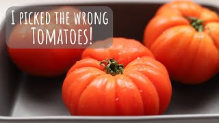 Provence style stuffed tomatoes gone wrong [upl. by Wiltsey]