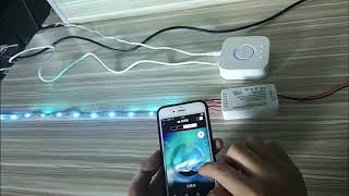 Gledopto RGBCCT Zigbee Light Strip Controller with Philips Hue [upl. by Ynner]