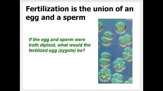 Session 01 Lecture 05 Cell Division science education [upl. by Jorin]