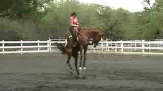 Bucking Horse with Female Rider [upl. by Htomit]