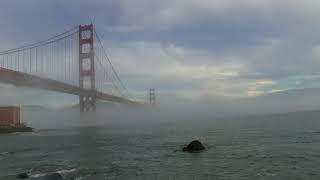 Foghorns on the Golden Gate Bridge Natural Sound 45mins [upl. by Suoivatco]