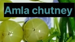 आंवला चटनी रेसिपी😚amla recipe how to make amla chutney [upl. by Aitital648]