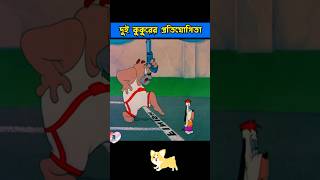 মাথা মোটা কুকুরের দৌড় প্রতিযোগিতা 🤣 shorts ytshorts banglacartoon [upl. by Hsreh]