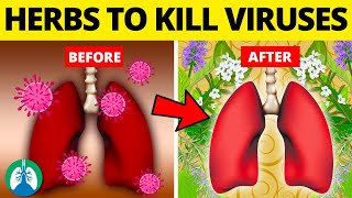 Top 10 Herbs for Lung Health Clearing Mucus COPD and Killing Viruses [upl. by Marilyn]