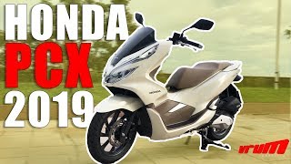 TESTE HONDA PCX 2019 VEJA O QUE MUDOU Vrum Brasília [upl. by Taber]