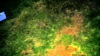 Police Officer scared of huge South African Baboon Spider [upl. by Otilegna483]