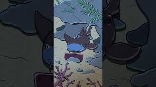 Nurse Shark 🏥🦈 animation original cartoon [upl. by Pacificia]