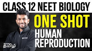 Class 12 NEET  Biology  One Shot  Human Reproduction  Xylem NEET Tamil [upl. by Juli]