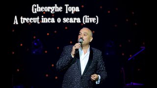 Gheorghe Țopa  A trecut incă o seară [upl. by Johnathan]