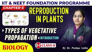 4 Types Of Vegetative PropagationIntroduction  Reproduction In Plants  Class8  Biology  Edu [upl. by Aidile298]