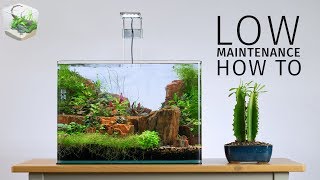 HOW TO Low Maintenance Nano Aquascape [upl. by Rawdon]