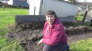 Turning a kikuyu lawn into vegetable garden beds  HARD WORK [upl. by Gnut]