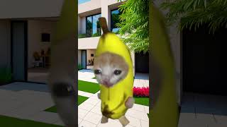 Banana Cat 🍌🐱 Escapes From Zombies 🧟‍♂️💥 [upl. by Elleret]