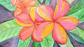 How to color Frangipani flowers with oil pastelsa fun project by Manjiri Kanvinde [upl. by Aerahs141]