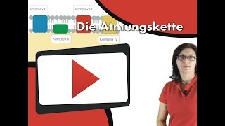 Die Atmungskette clipdocsde [upl. by Laureen]