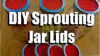 How to Make a DIY Sprouting Jar Lid for Under 10 Cents  Growing Your Indoor Garden EXTRA [upl. by Wende]