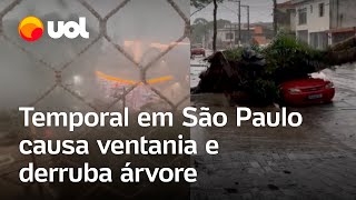 Temporal deixa SP em estado de atenção e bairros têm queda de luz veja vídeos [upl. by Adiahs]