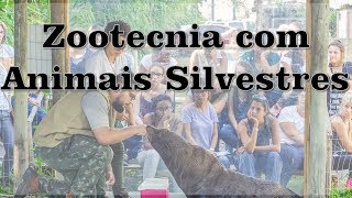 iZoo  O que é a Zootecnia na área de Animais Silvestres [upl. by Osbourn91]