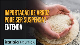 IMPORTAÇÃO DE ARROZ ENTENDA POR QUÊ ENTIDADE É CONTRA MEDIDA PROVISÓRIA [upl. by Adnorrahs]