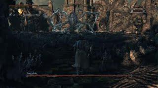 Bloodborne  Amygdala Boss Fight amp Chalice of Ailing Loran TrophyAchievement [upl. by Eedoj]