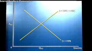 Externalities and Public Goods  Externalities in Consumption [upl. by Shanna]