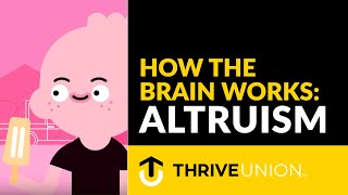 How The Brain Works Altruism [upl. by Takeshi]